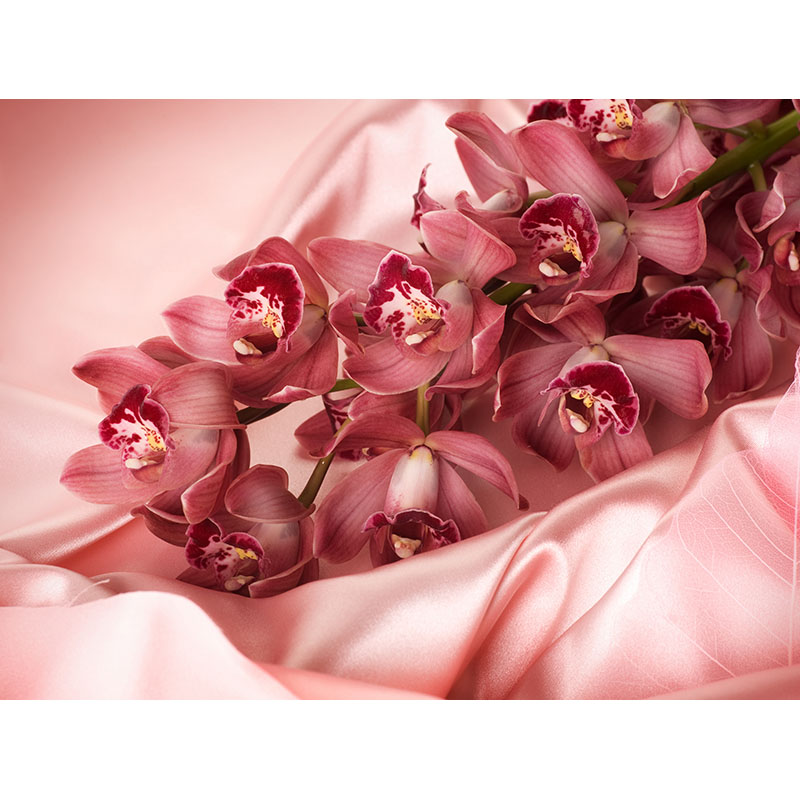 Ταπετσαρία χώρου με Bouquet of Orchids